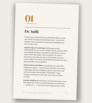 Nederlandse editie — Hoofdstuk 1: De Audit (Dutch edition included)